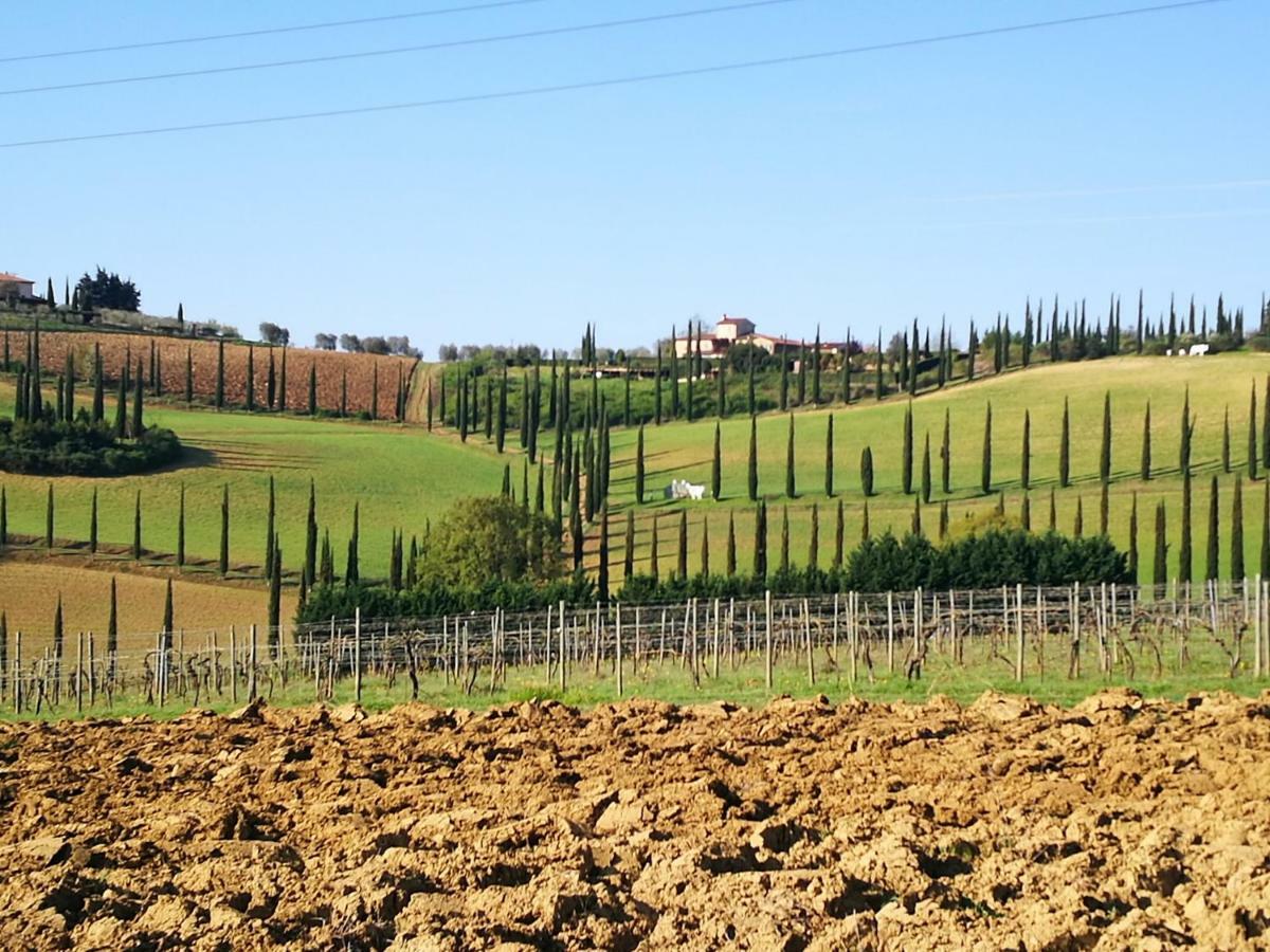 Castello Di Fulignano Ranuccio10 Superior Apartment San Gimignano Exterior foto